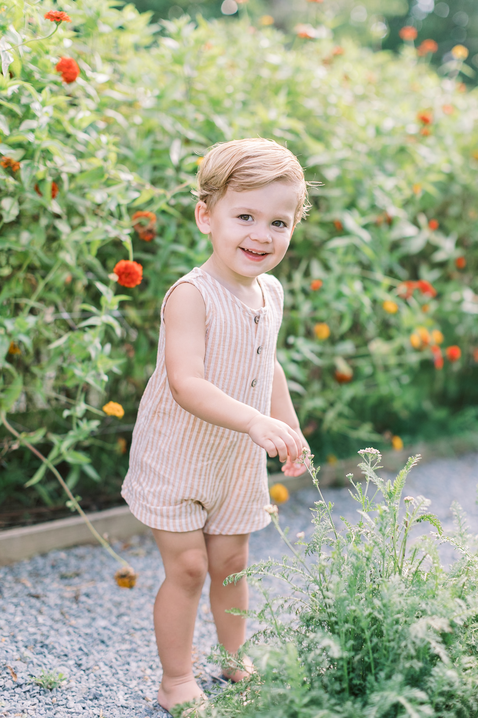 A toddler in a pink stripe romper explores flowers in a garden at sunset with a big smile
