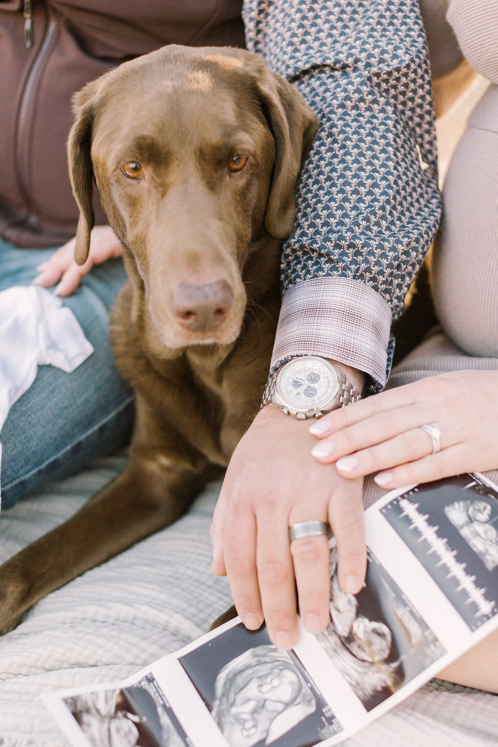 Details of expecting parents holding the sonogram while sitting on a picnic blanket with their brown dog between them