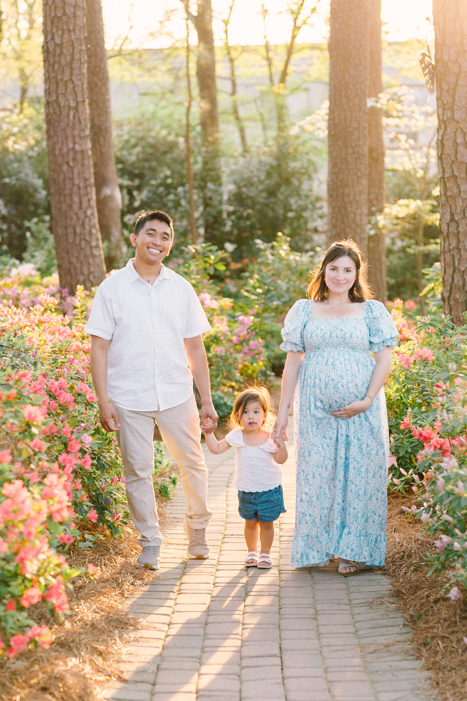 pregnant mom and dad walk in a garden path holding hands with their toddler daughter between them at sunset thanks to ivf in raleigh