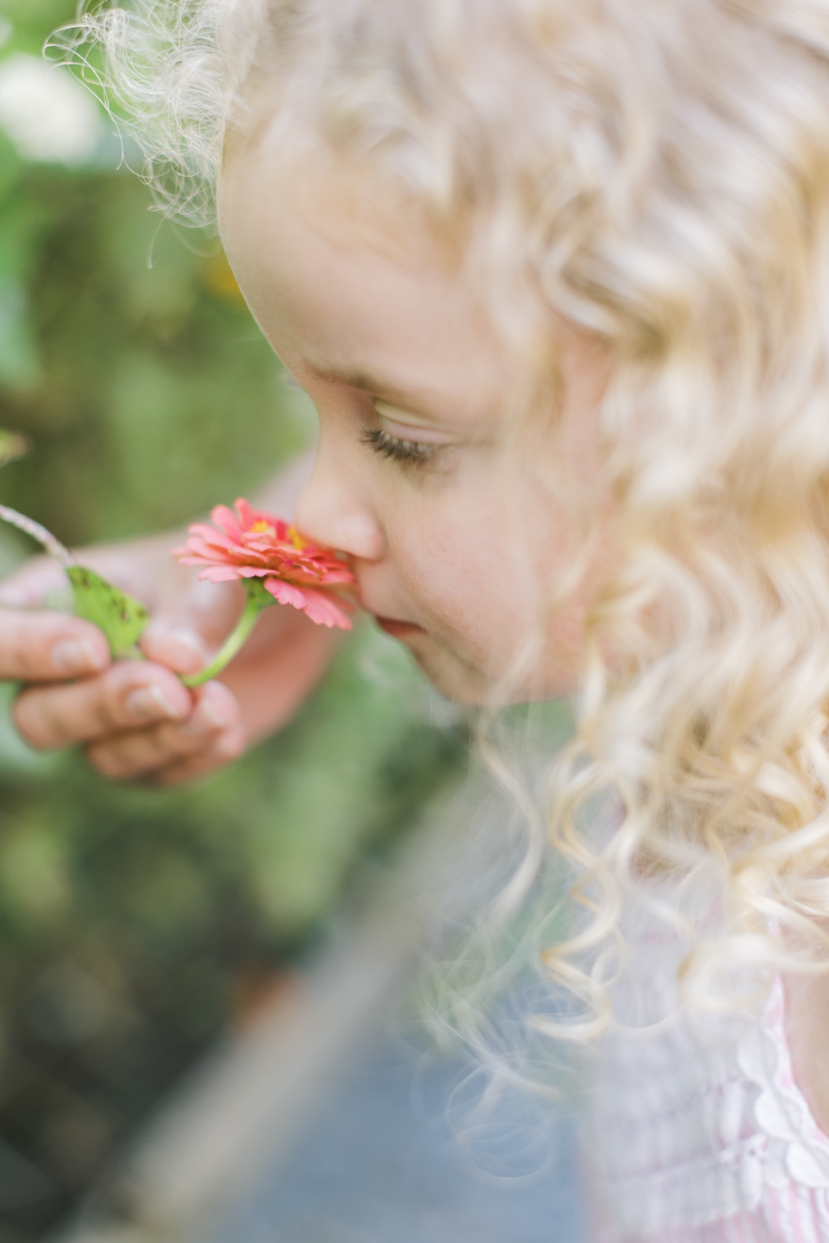 A toddler girl smells a pink flower