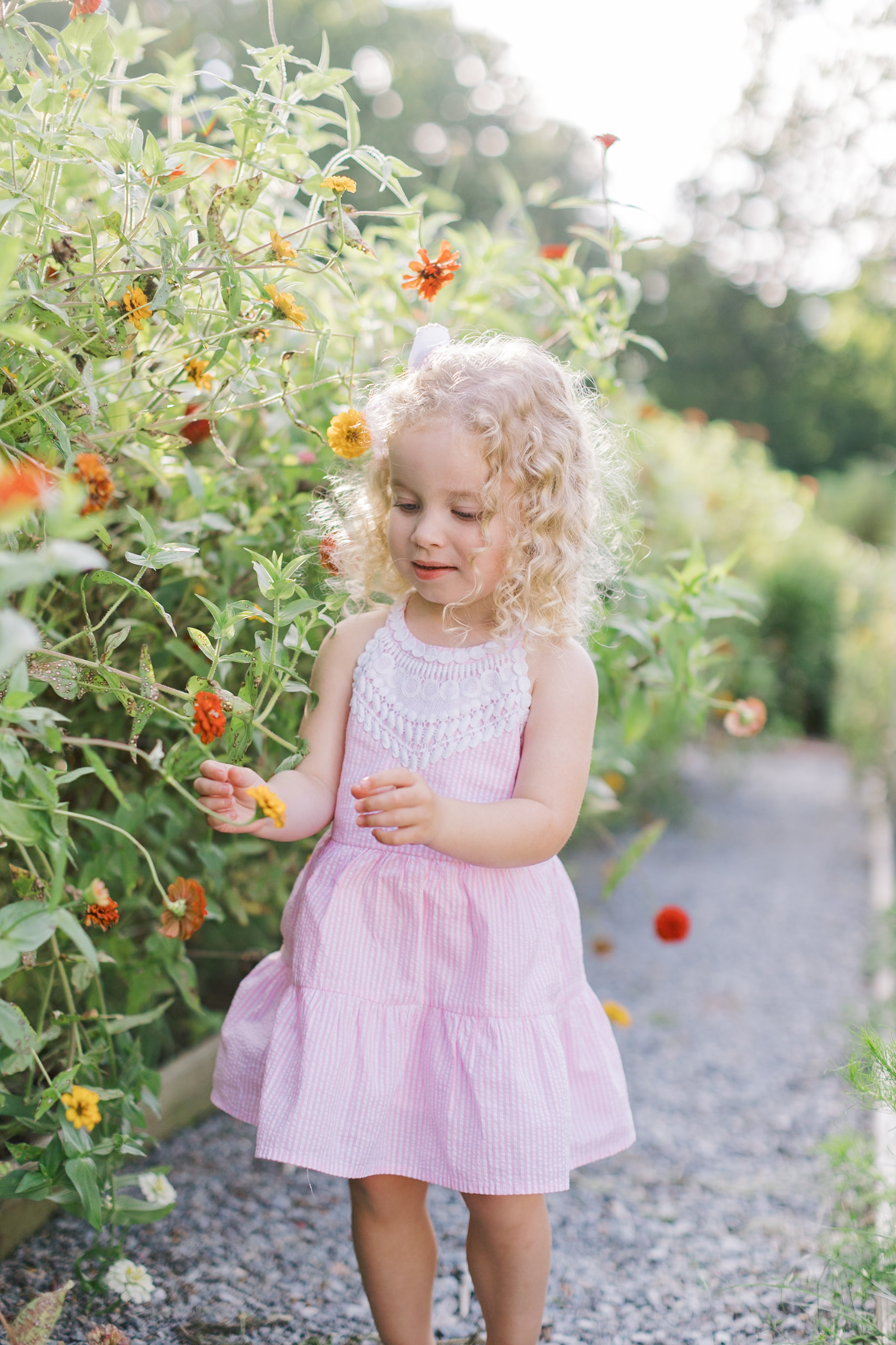 A toddler girl in a pink dress explores wildflowers in one of the gardens in raleigh nc