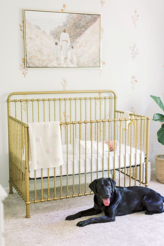 Black lab dog laying next to baby's gold crib during a Raleigh newborn session by Lindsey Lambert Photography.